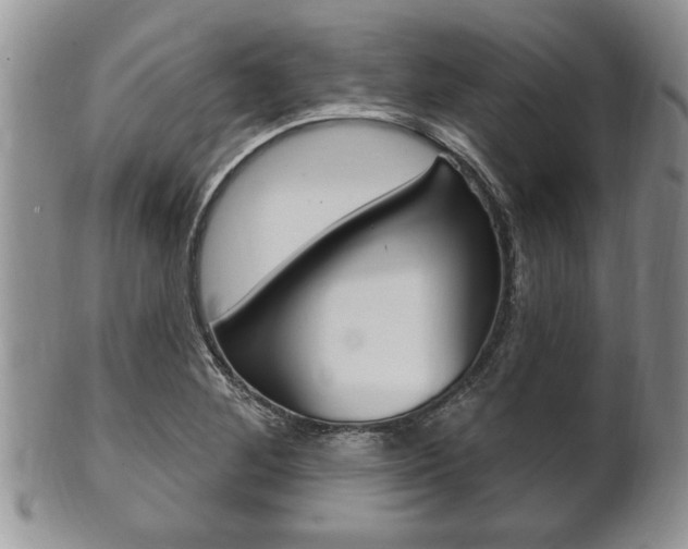 X0000102501268200808080937