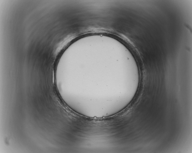 X0000102501269200808080937