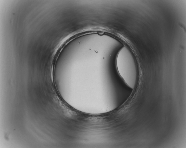 X0000102501272200808080937