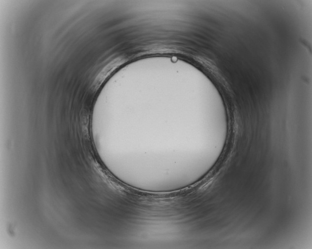 X0000102501273200808080937