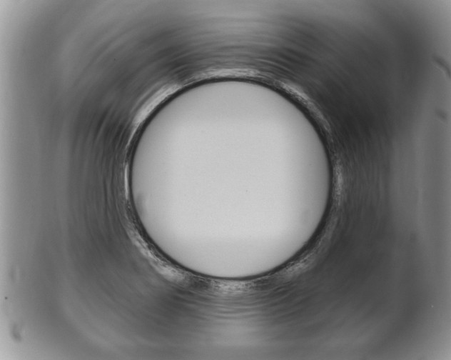 X0000102501274200808080936