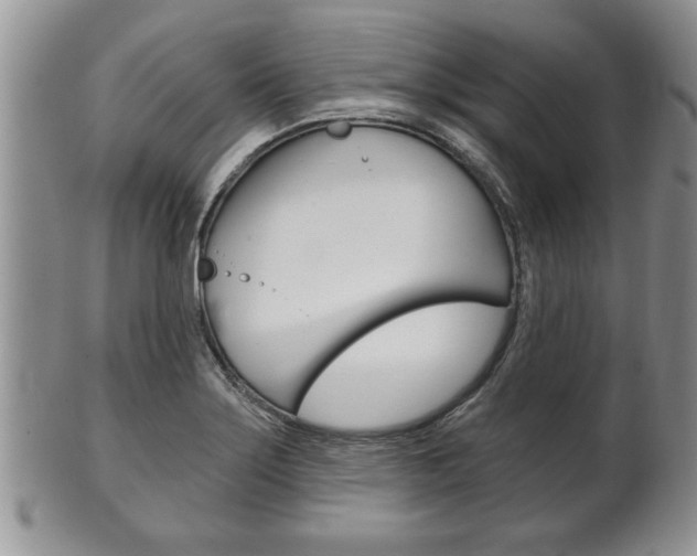 X0000102501275200808080936