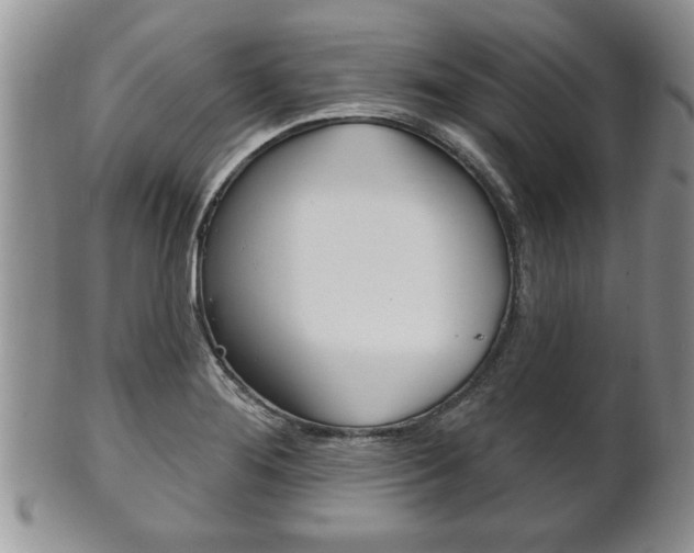 X0000102501276200808080936