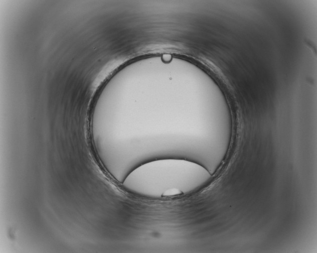 X0000102501277200808080936