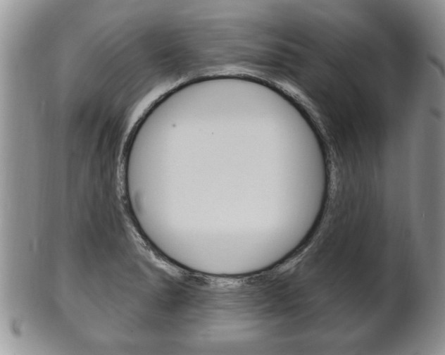 X0000102501278200808080936