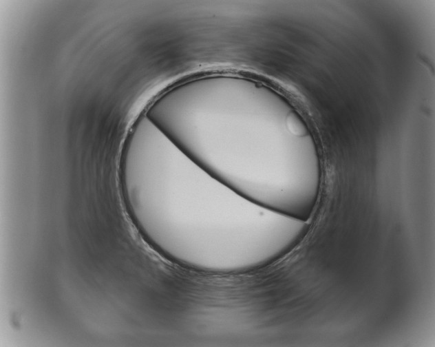 X0000102501279200808080936