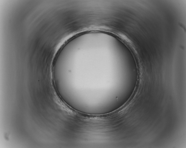X0000102501280200808080936