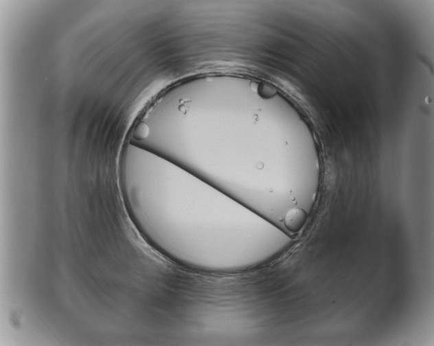 X0000102501283200808080936
