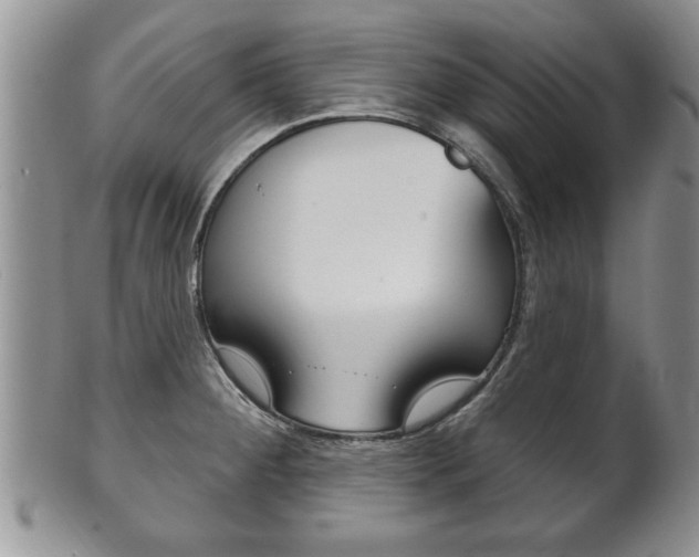 X0000102501284200808080936