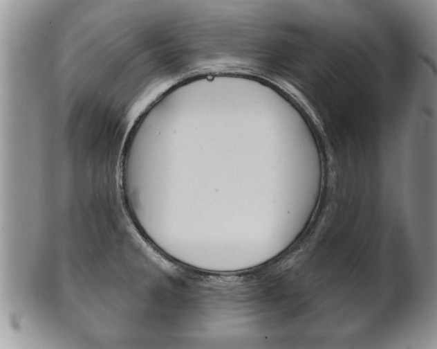 X0000102501285200808080936