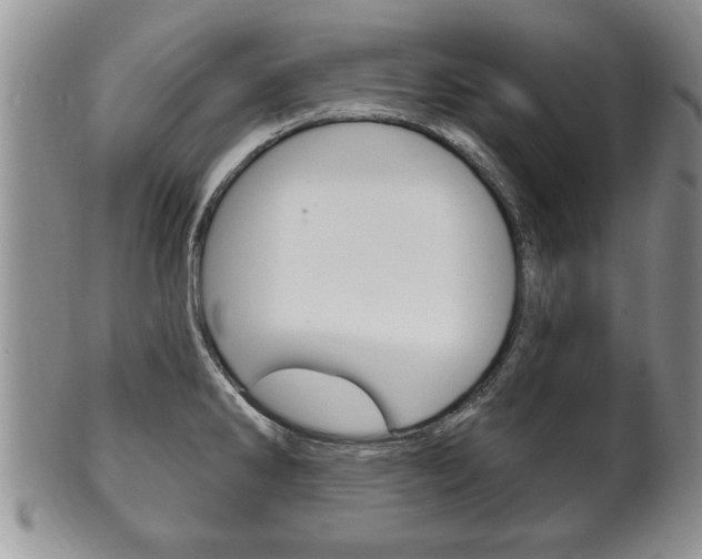 X0000102501286200808080936