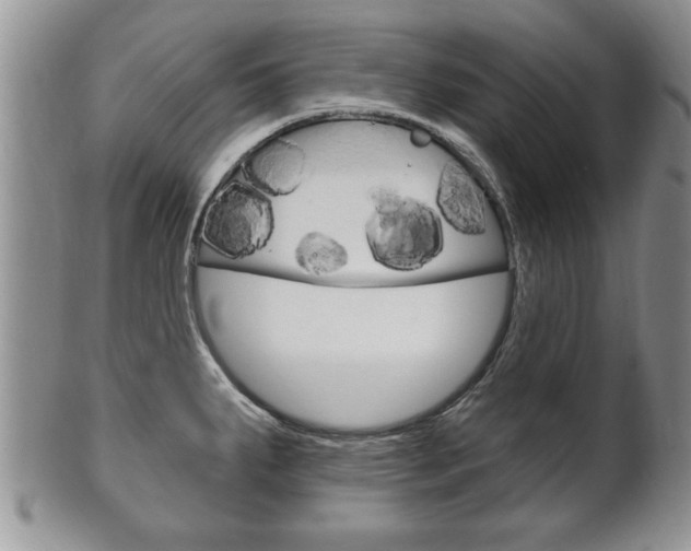X0000102501287200808080936