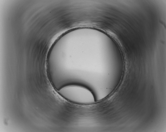 X0000102501288200808080936