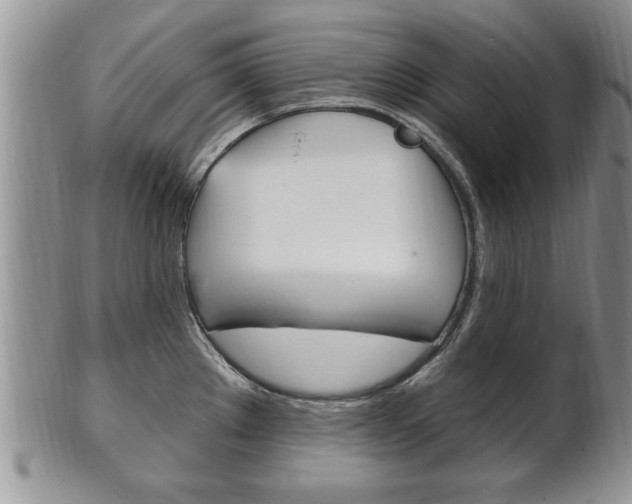X0000102501289200808080936