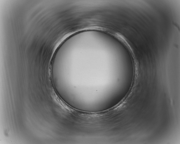 X0000102501292200808080936