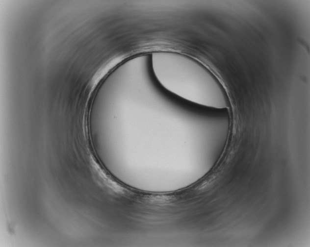 X0000102501293200808080936