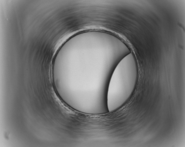 X0000102501295200808080936