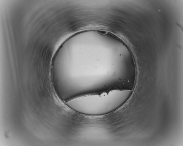 X0000102501296200808080936