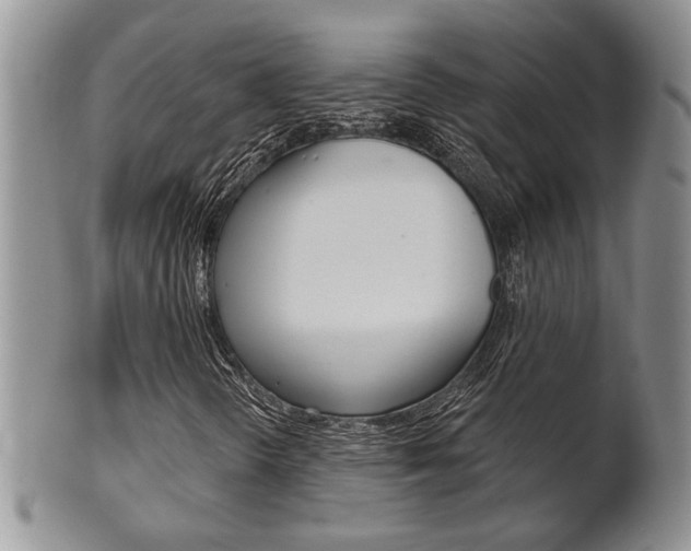 X0000102501298200808080936
