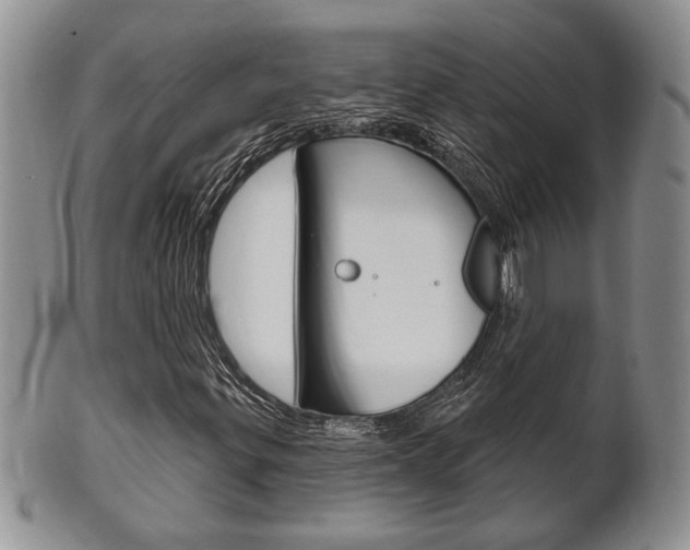 X0000102501299200808080936