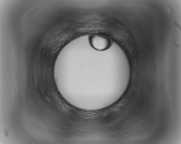 X0000102501300200808080936