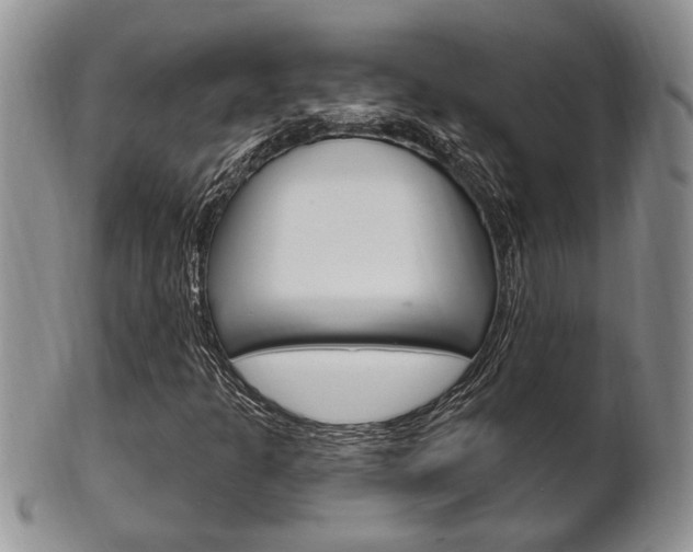 X0000102501301200808080936
