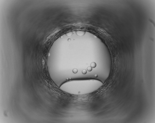 X0000102501302200808080936