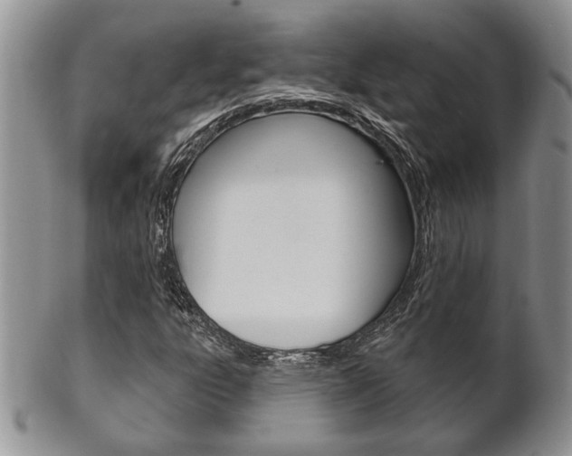 X0000102501303200808080936