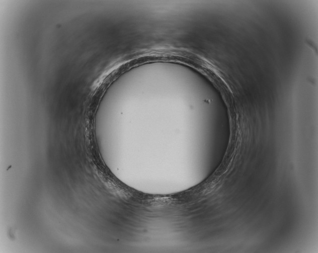 X0000102501304200808080936