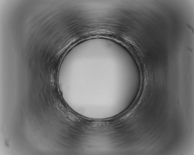 X0000102501305200808080936
