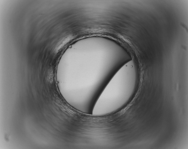 X0000102501306200808080936