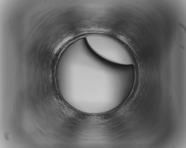 X0000102501307200808080936