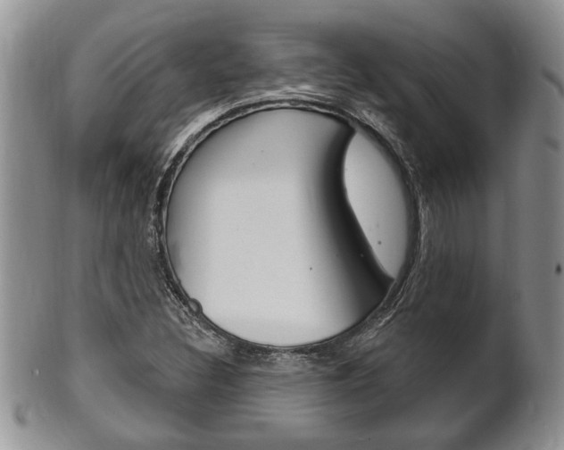 X0000102501308200808080936