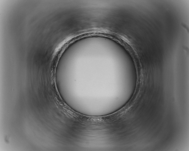 X0000102501310200808080936