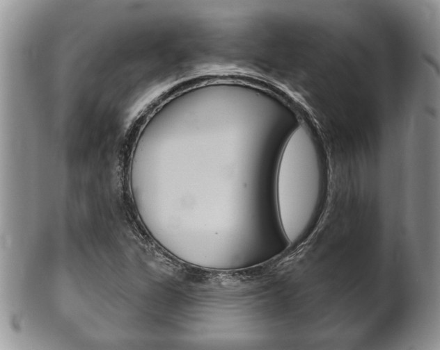 X0000102501311200808080936