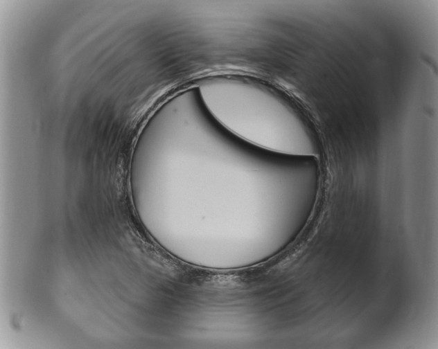 X0000102501313200808080936