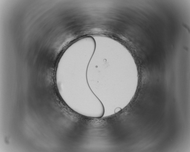 X0000102501314200808080936