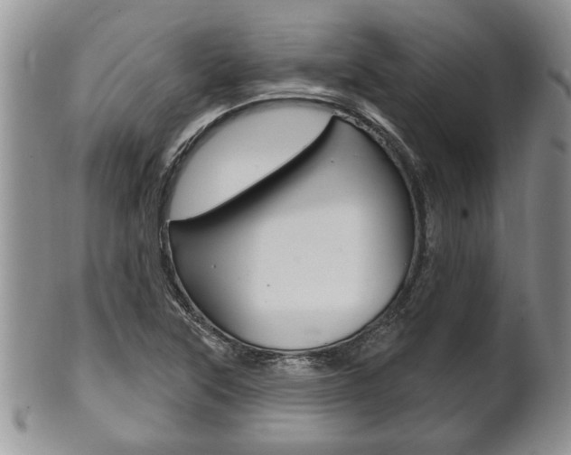X0000102501315200808080936