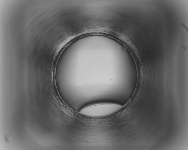 X0000102501316200808080936