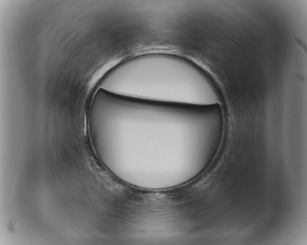 X0000102501317200808080936