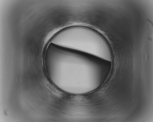 X0000102501319200808080936
