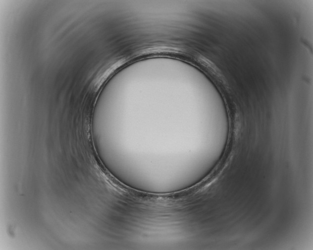 X0000102501321200808080936