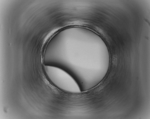 X0000102501323200808080936