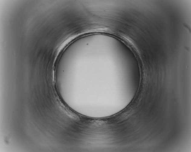X0000102501324200808080936
