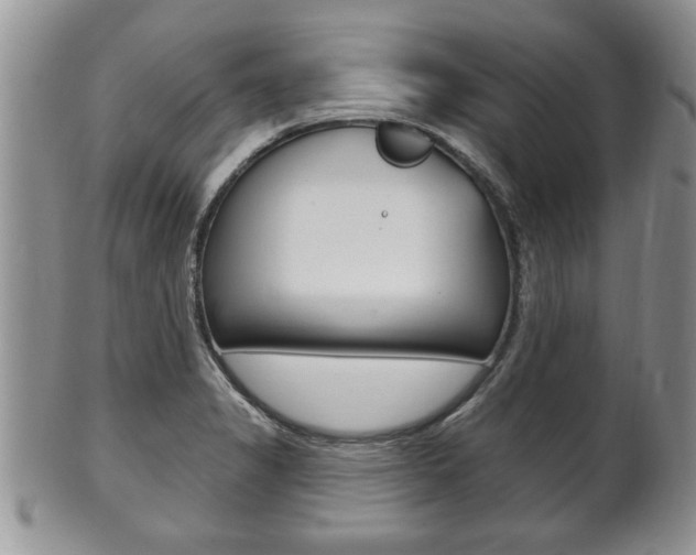 X0000102501325200808080936