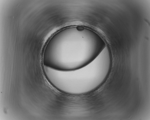 X0000102501326200808080936
