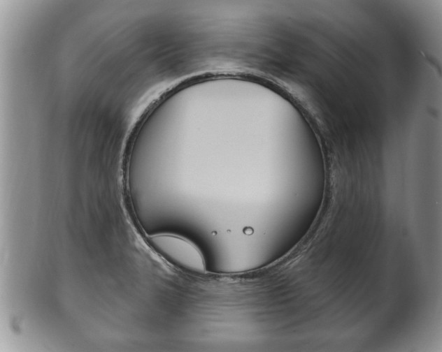 X0000102501327200808080936