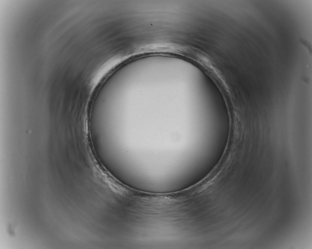 X0000102501328200808080936