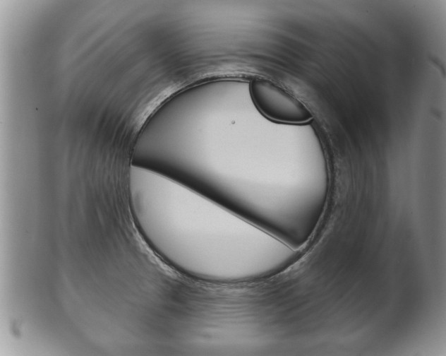X0000102501329200808080936