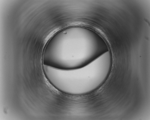X0000102501330200808080936